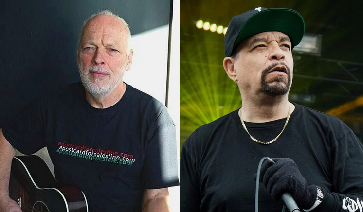 от Дэвида Гилмора репера Ice-T